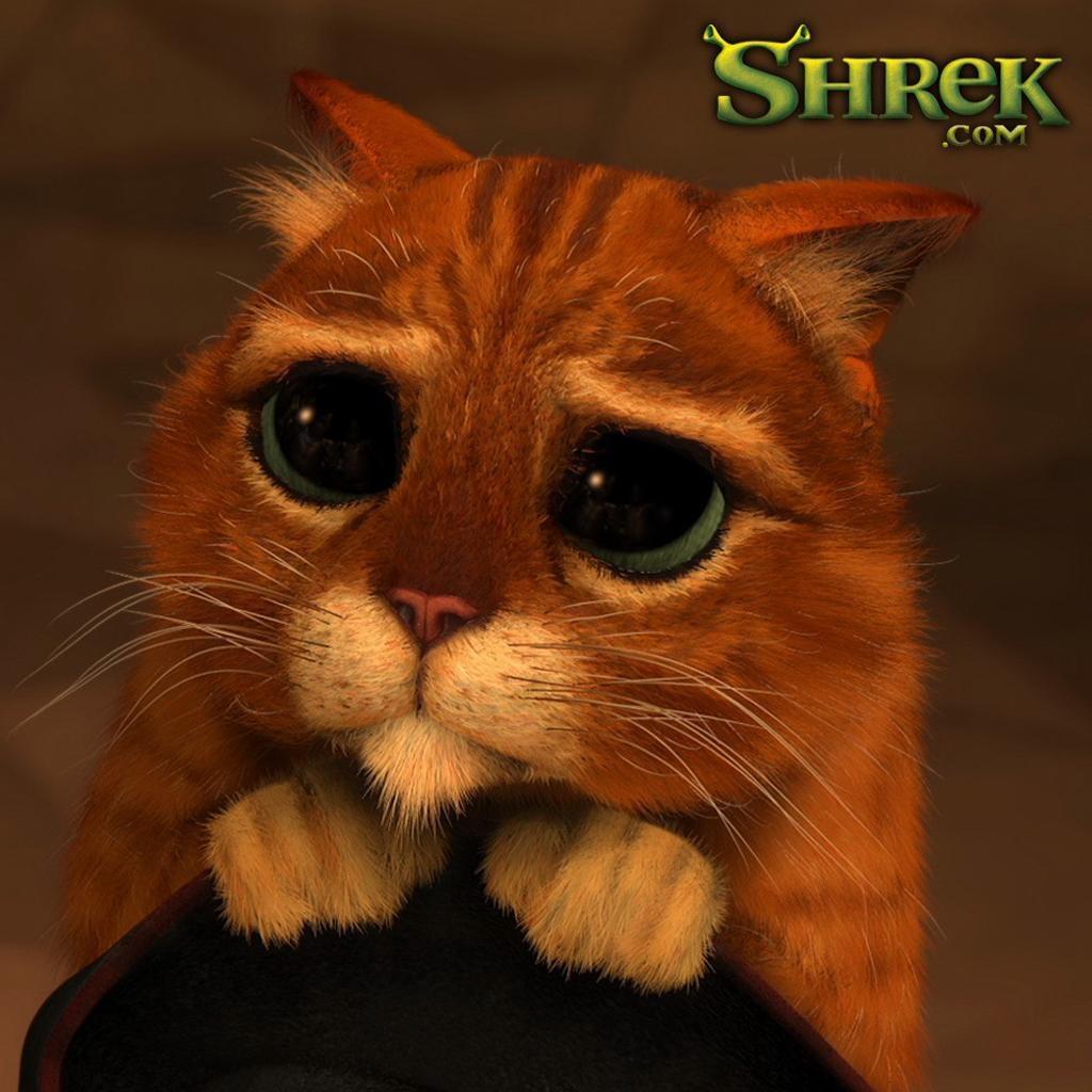 avatar pseudodarkannec